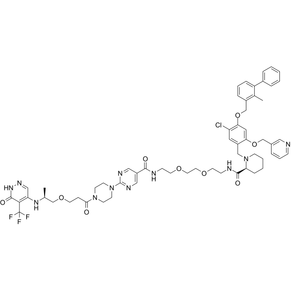 Antitumor agent-170